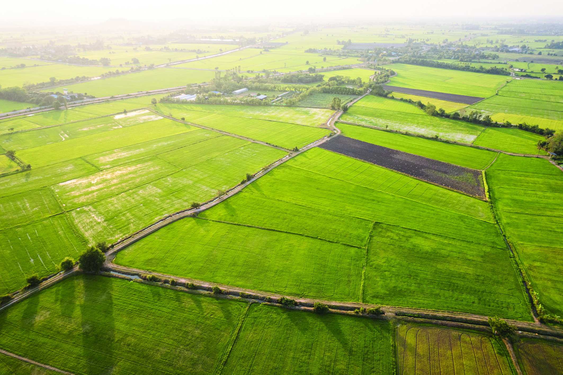 Project Update Image of Landscape