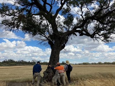 Ecology Survey